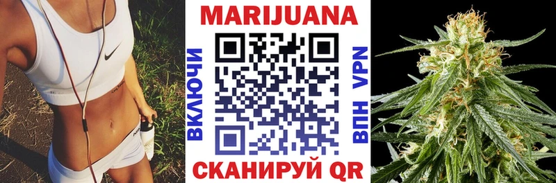 Альфа ПВП Елизаветинская